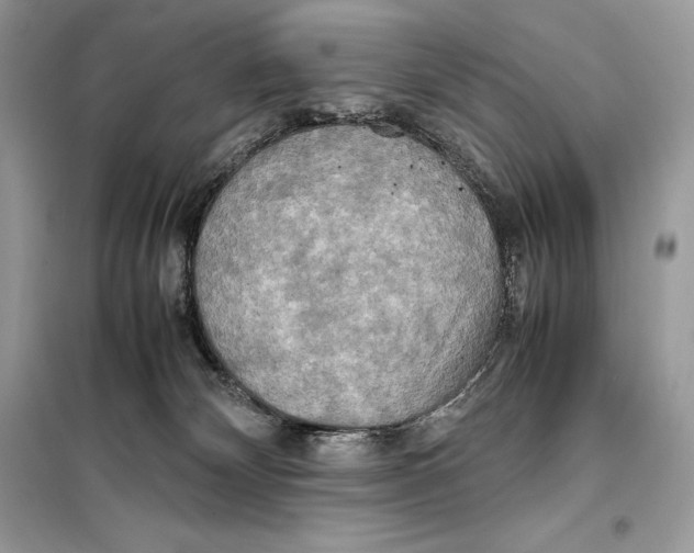 X0000099230132200805221844