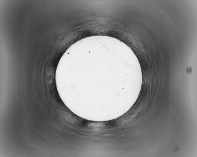 X0000099230133200805221844