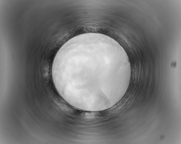 X0000099230134200805221844