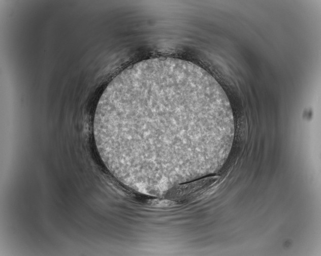 X0000099230135200805221844