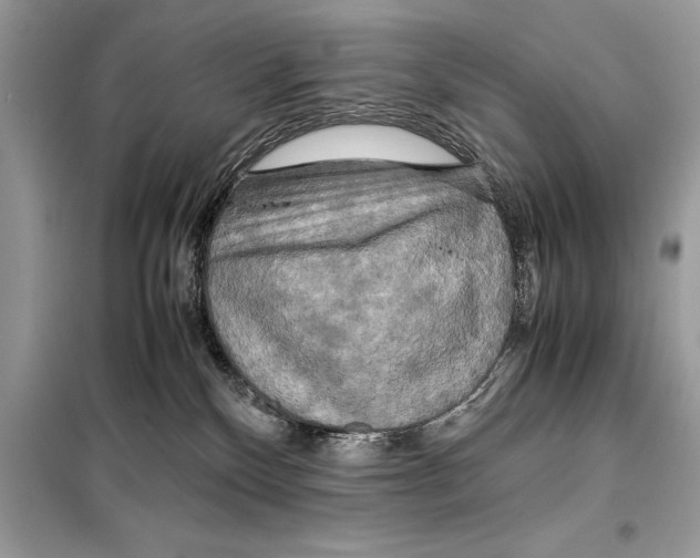 X0000099230136200805221844