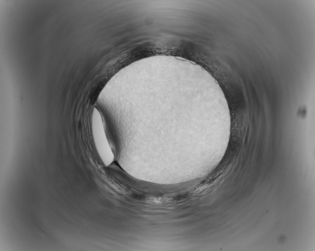 X0000099230137200805221844