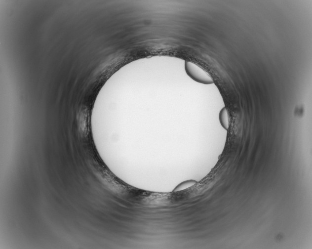 X0000099230138200805221844