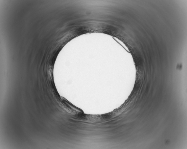 X0000099230141200805221844