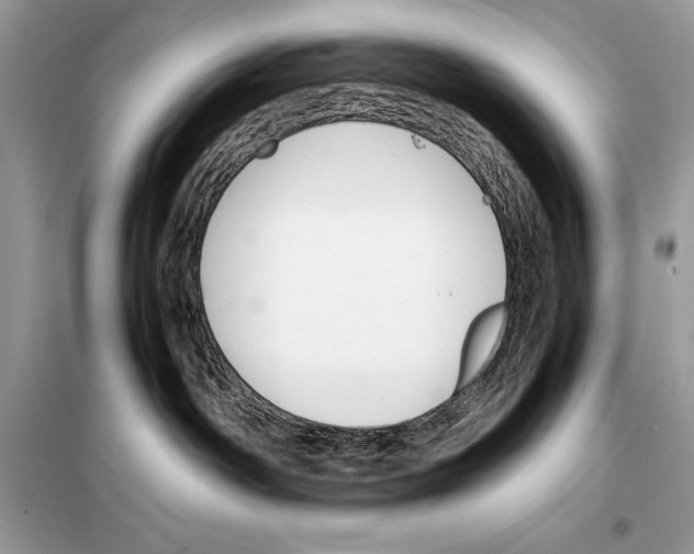 X0000099230142200805221844