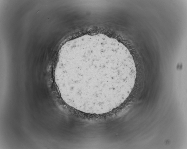 X0000099230144200805221844