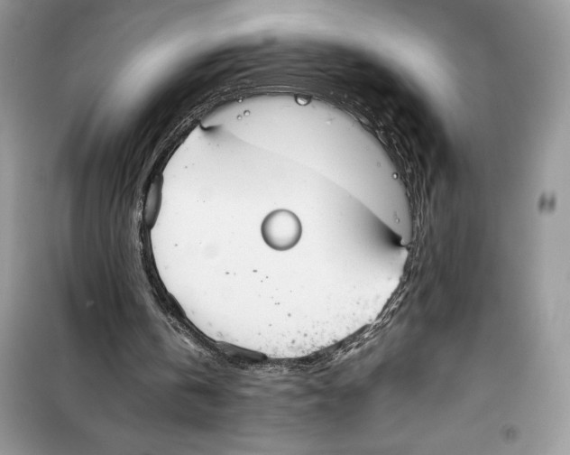 X0000099230146200805221843