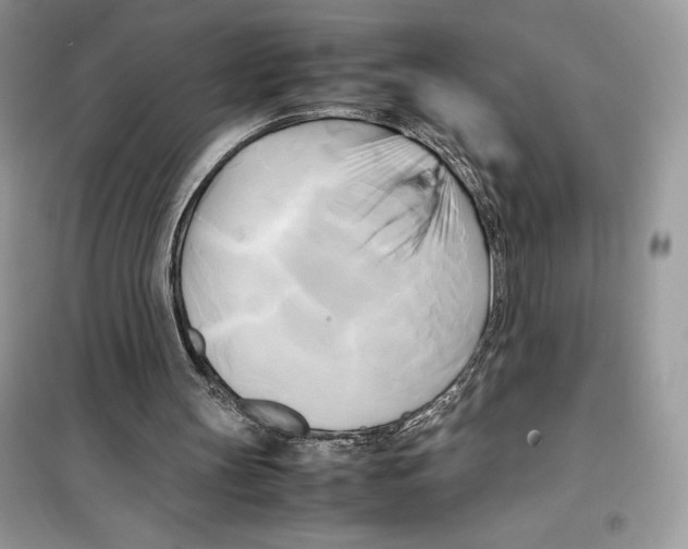 X0000099230147200805221843