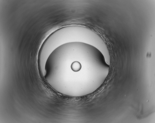 X0000099230148200805221843