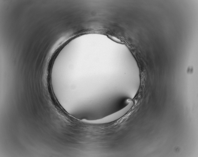 X0000099230150200805221843