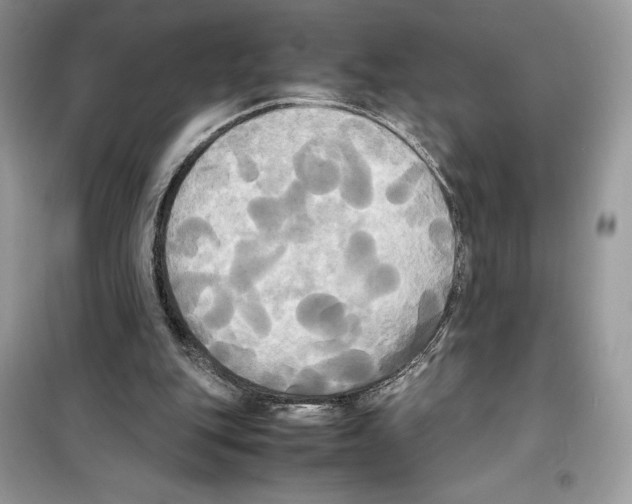 X0000099230151200805221843