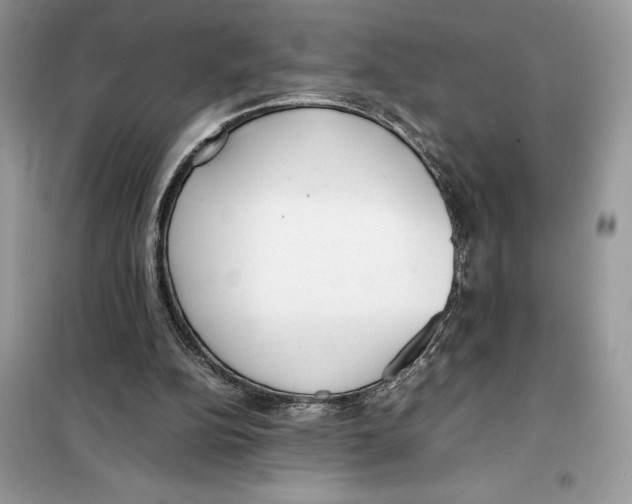 X0000099230152200805221843