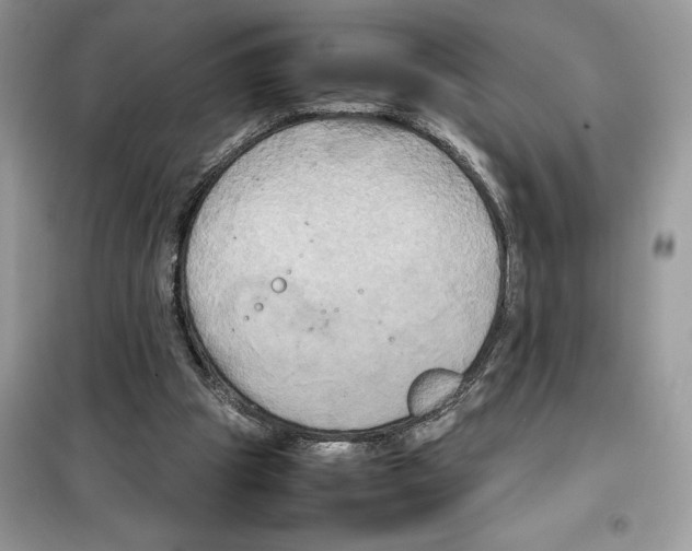 X0000099230153200805221843