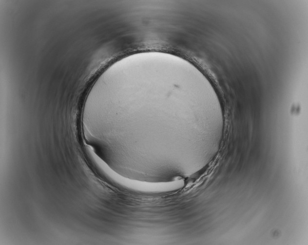 X0000099230154200805221843