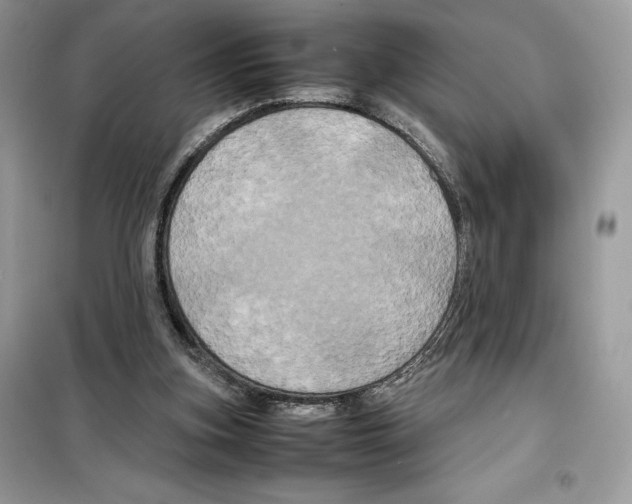 X0000099230155200805221843