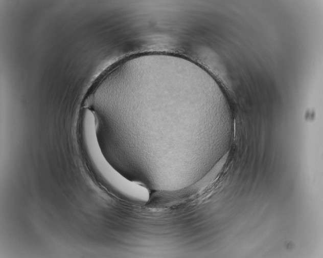 X0000099230156200805221843