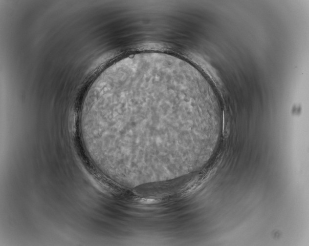 X0000099230157200805221843