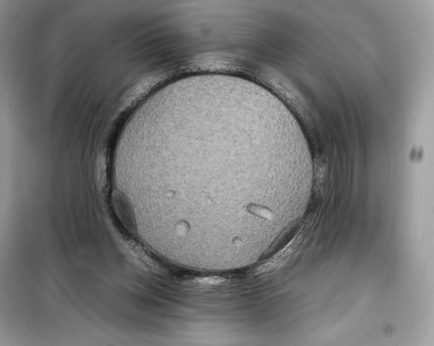 X0000099230158200805221843