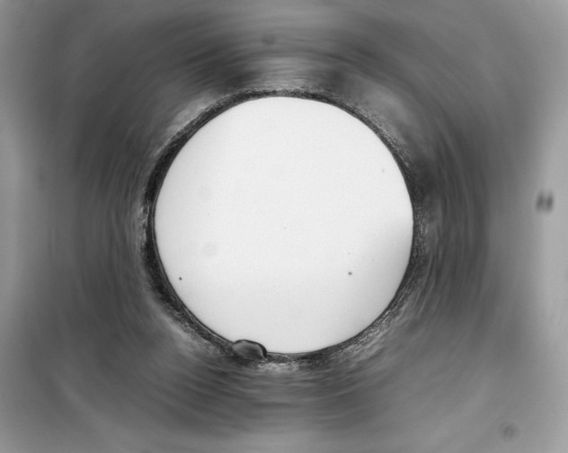 X0000099230160200805221843