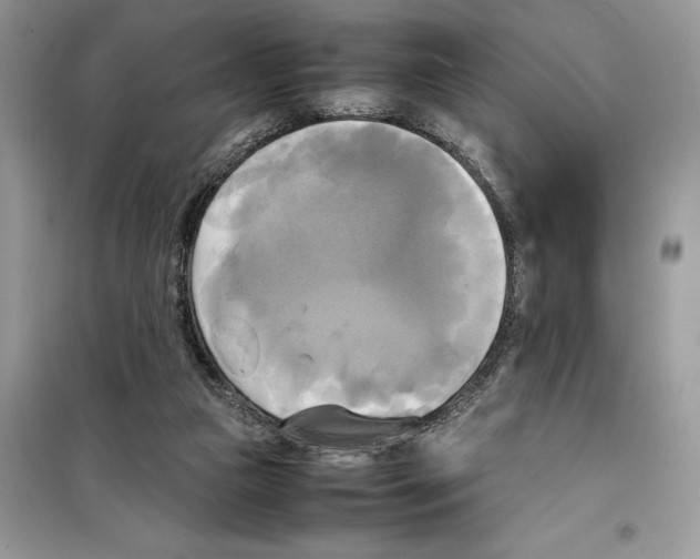 X0000099230161200805221843