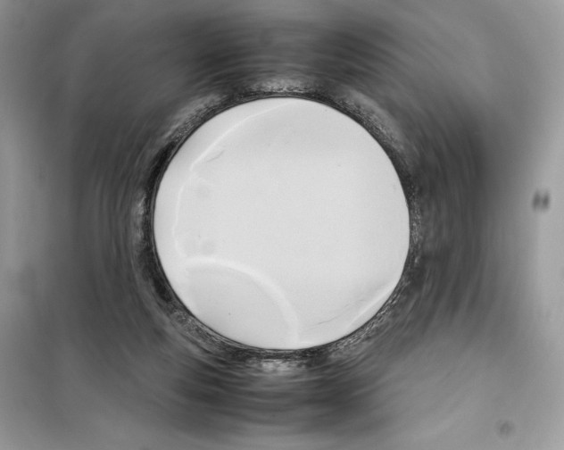 X0000099230163200805221843