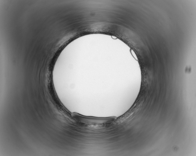 X0000099230164200805221843