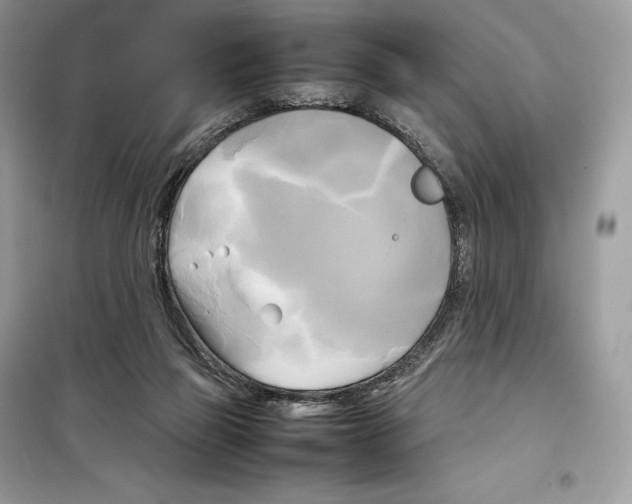 X0000099230165200805221843