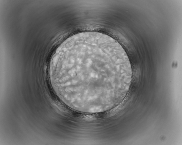 X0000099230166200805221843