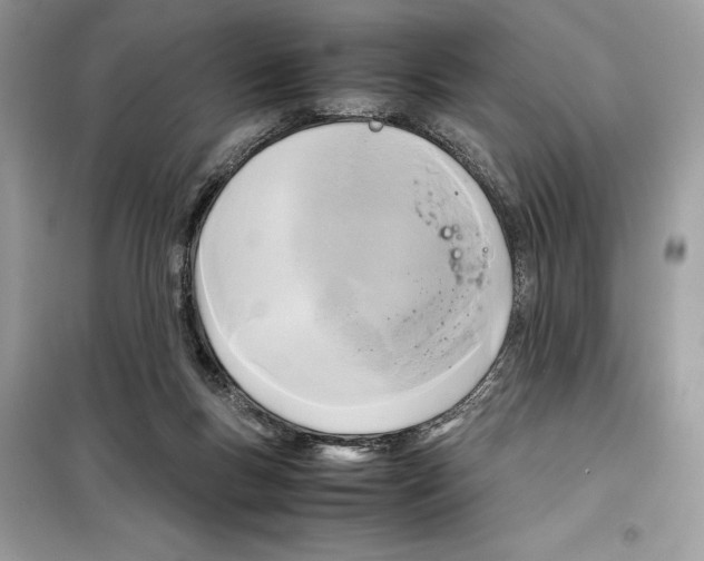 X0000099230167200805221843