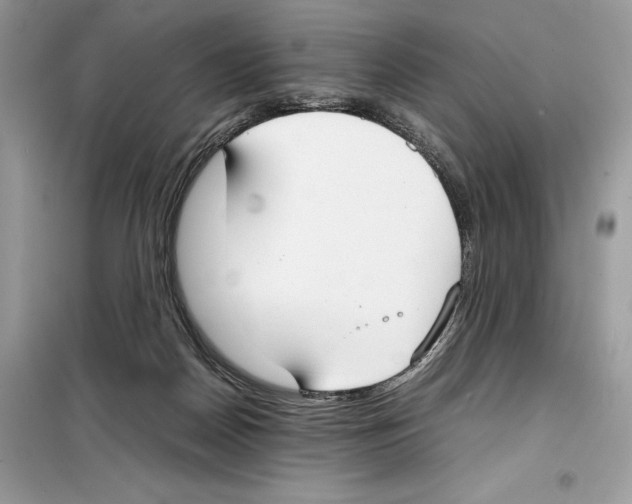 X0000099230170200805221843