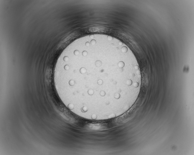 X0000099230171200805221843