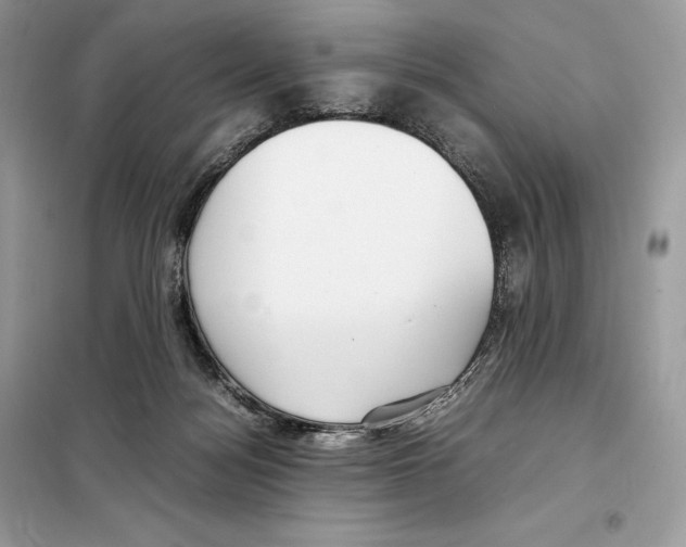 X0000099230172200805221843