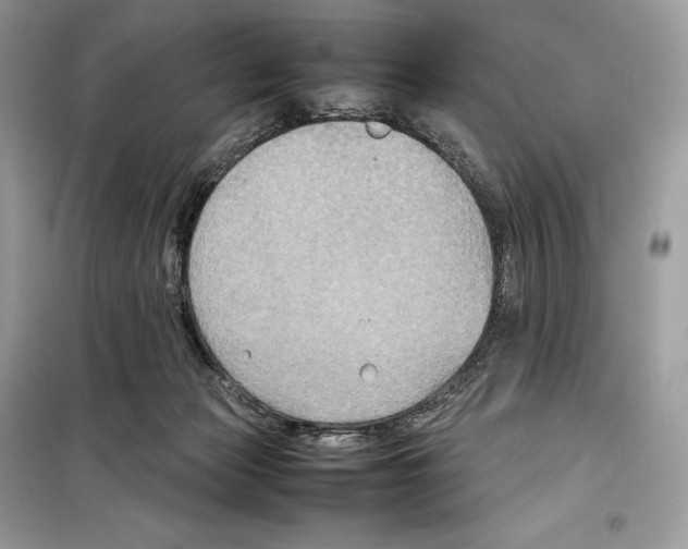 X0000099230173200805221843