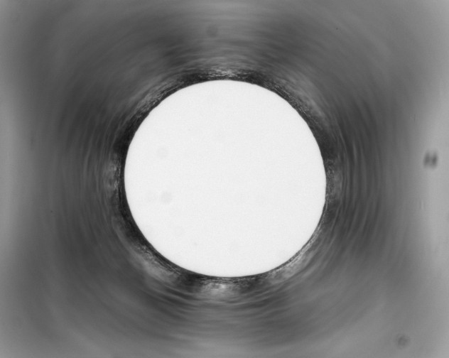 X0000099230174200805221843