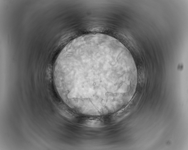 X0000099230175200805221843