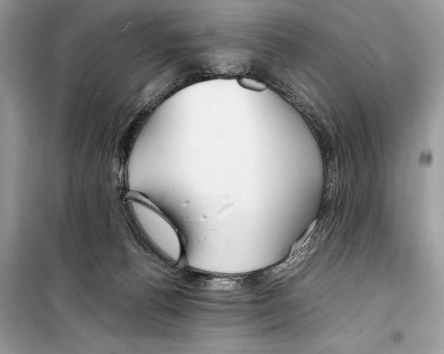 X0000099230176200805221843