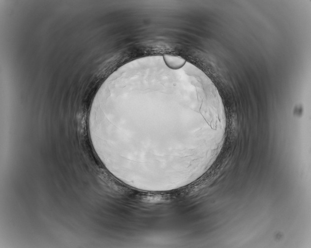 X0000099230177200805221843