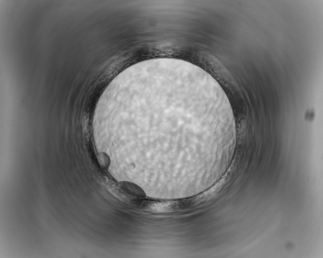 X0000099230178200805221843