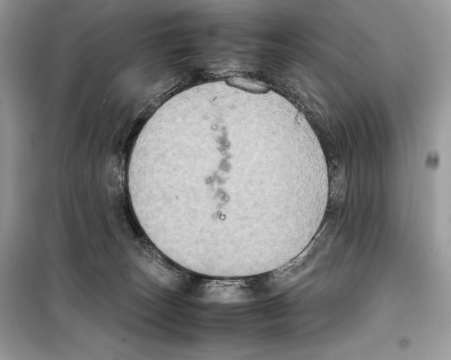 X0000099230179200805221843