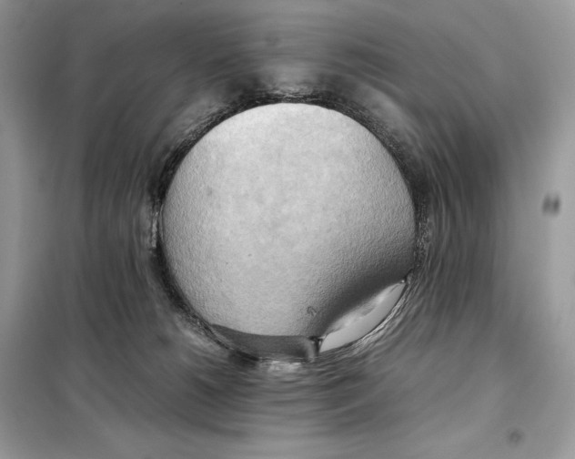 X0000099230180200805221843