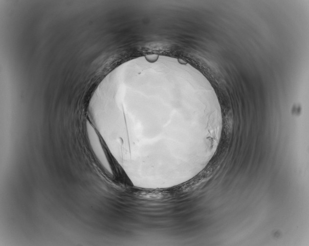 X0000099230181200805221844