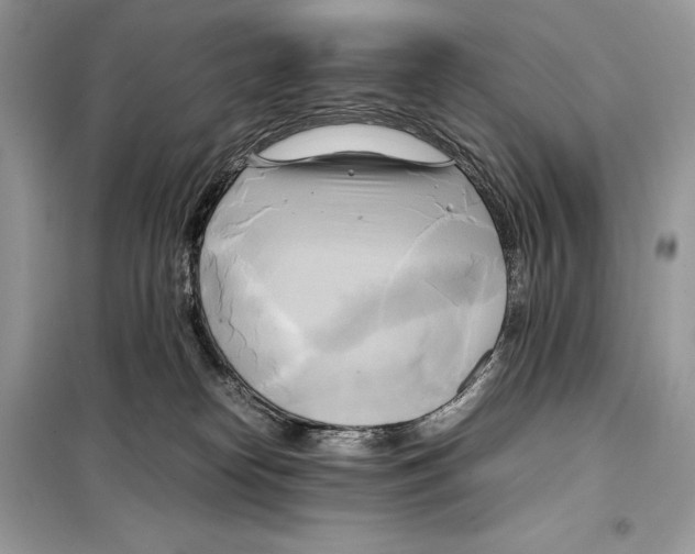 X0000099230182200805221844