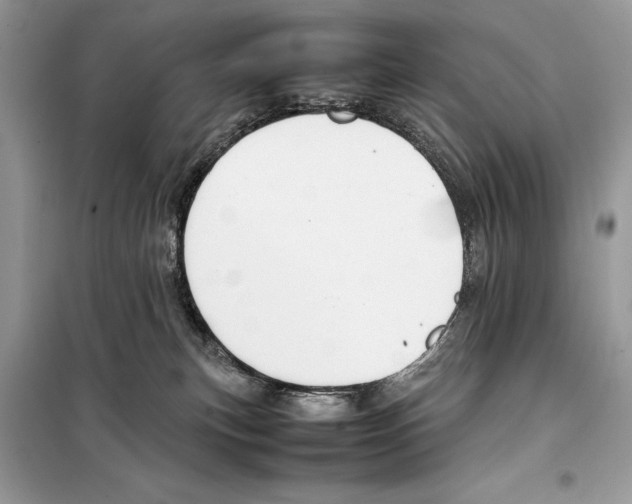 X0000099230183200805221844