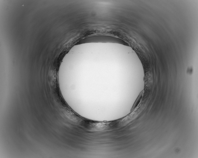 X0000099230184200805221844