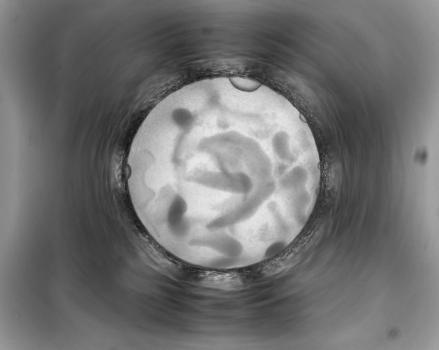 X0000099230185200805221844