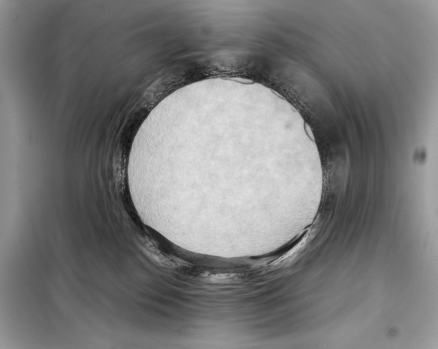 X0000099230186200805221844