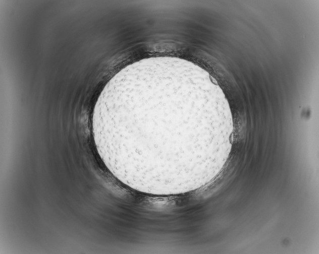 X0000099230187200805221844