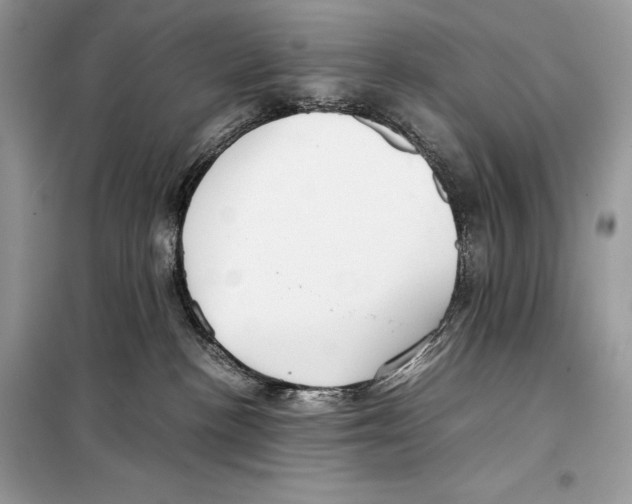 X0000099230188200805221844