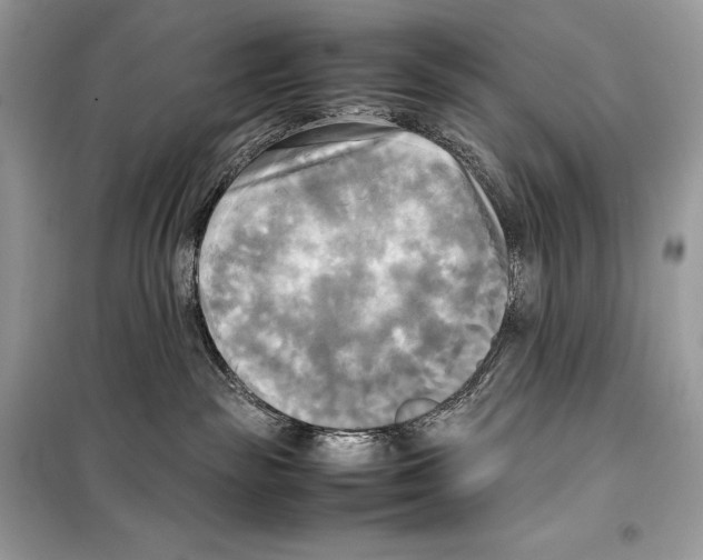 X0000099230189200805221844