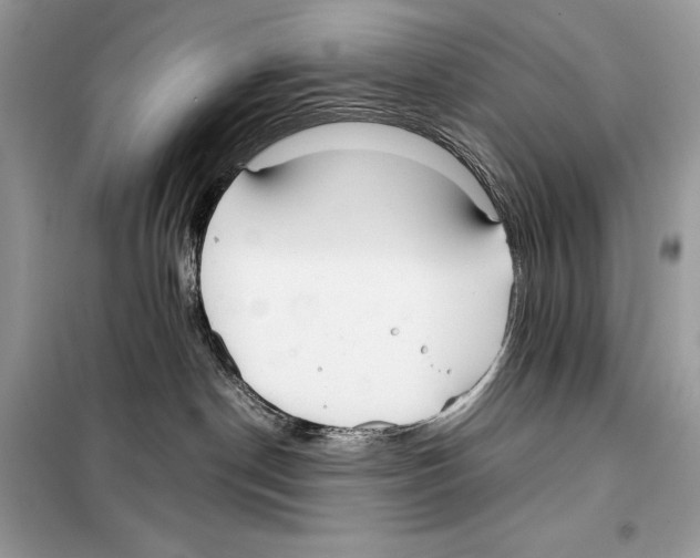 X0000099230190200805221844